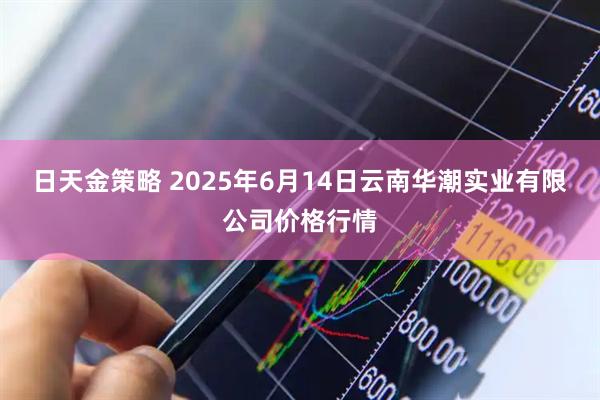 日天金策略 2025年6月14日云南华潮实业有限公司价格行情