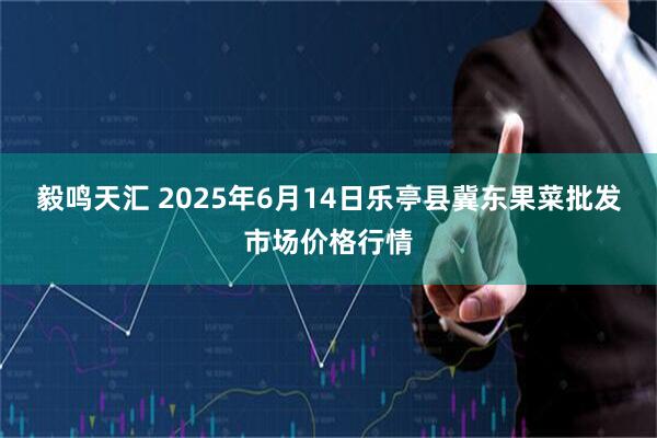 毅鸣天汇 2025年6月14日乐亭县冀东果菜批发市场价格行情